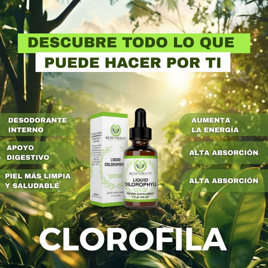 Oro Verde 💚: Clorofila Liquida - Una forma simple, natural y efectiva