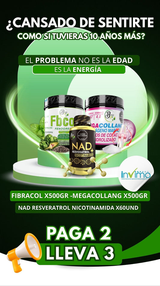 Renovación total ✅