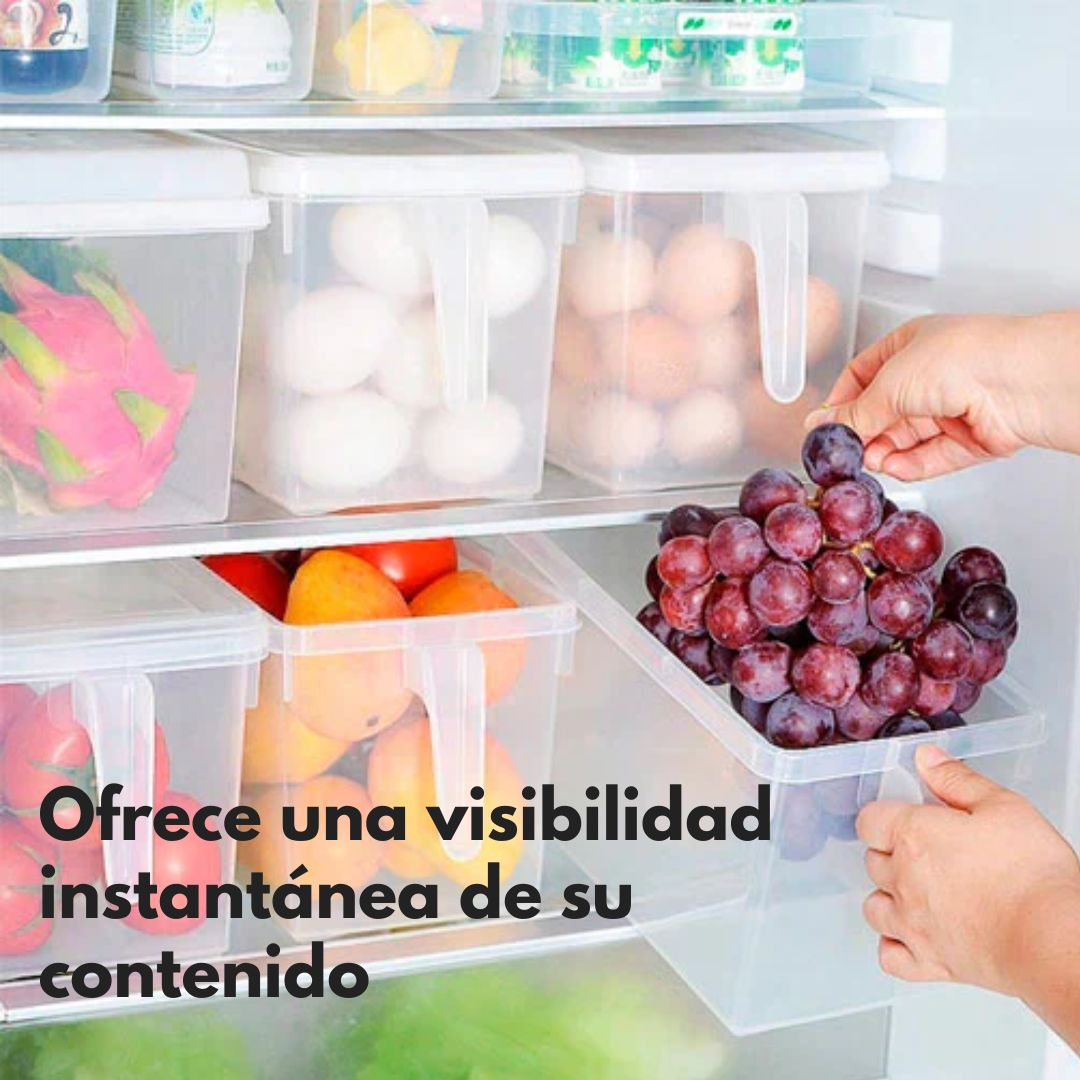 ORGANIZADOR  TRANSPARENTE PLUS 🤩