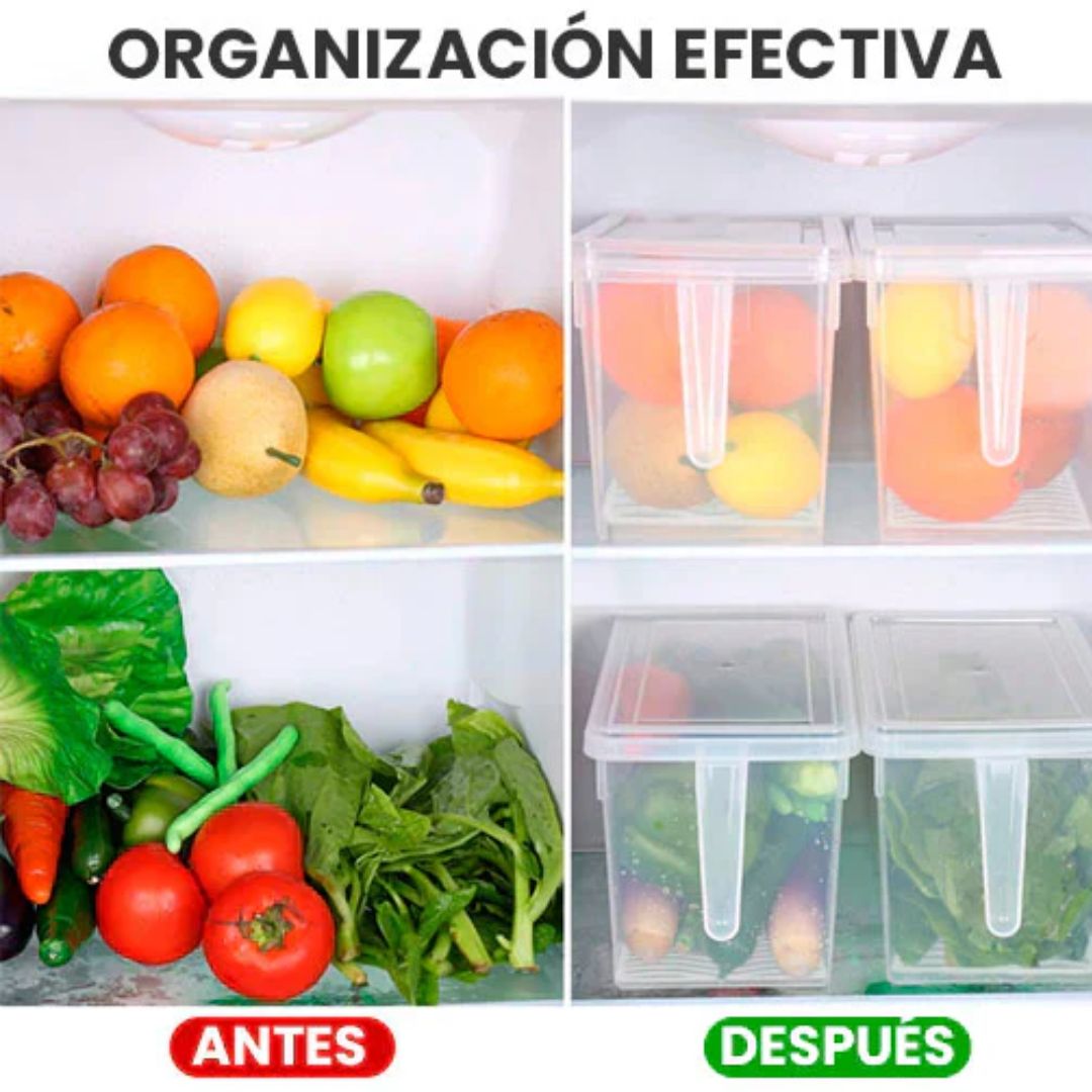 ORGANIZADOR  TRANSPARENTE PLUS 🤩