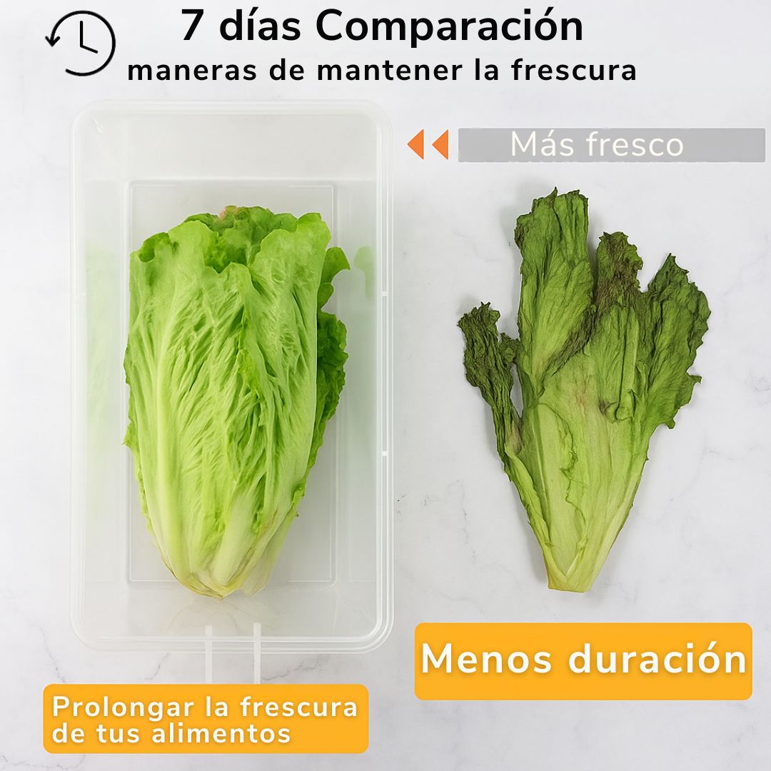 ORGANIZADOR  TRANSPARENTE PLUS 🤩