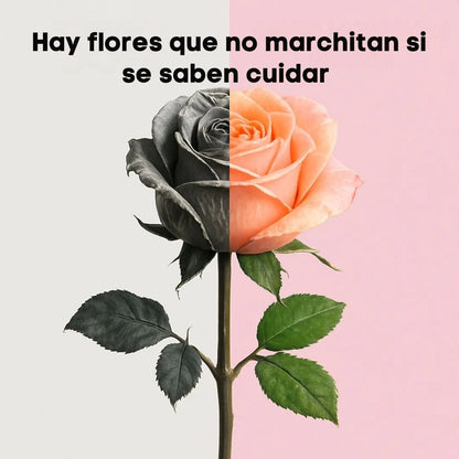 .Probióticos para mujeres: Equilibra tu cuerpo y recupera tu confianza 🌸✨