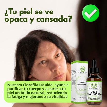 Oro Verde 💚: Clorofila Liquida - Una forma simple, natural y efectiva