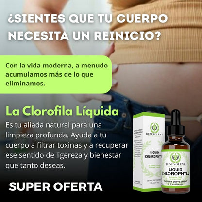 Oro Verde 💚: Clorofila Liquida - Una forma simple, natural y efectiva
