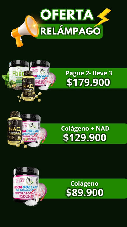 Renovación total ✅