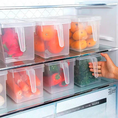 ORGANIZADOR  TRANSPARENTE PLUS 🤩