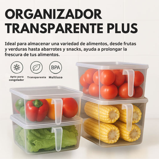 ORGANIZADOR  TRANSPARENTE PLUS 🤩